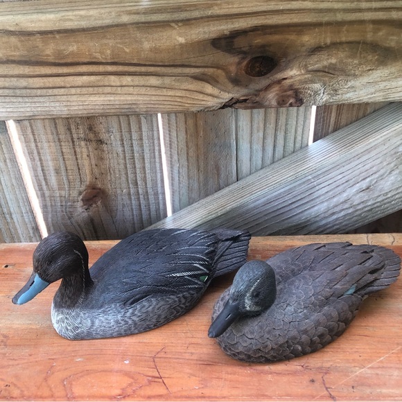 Set of 2 Jim Palmer Carved Resin Duck Decoy Figurines Blue Wing Teal & Stifftail - Picture 2 of 11